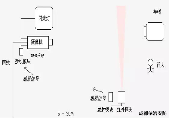 &#80;&#84;&#30495;&#20154;&#65288;&#20013;&#22269;&#65289;&#23448;&#26041;&#32593;&#31449;