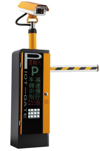&#80;&#84;&#30495;&#20154;&#65288;&#20013;&#22269;&#65289;&#23448;&#26041;&#32593;&#31449;