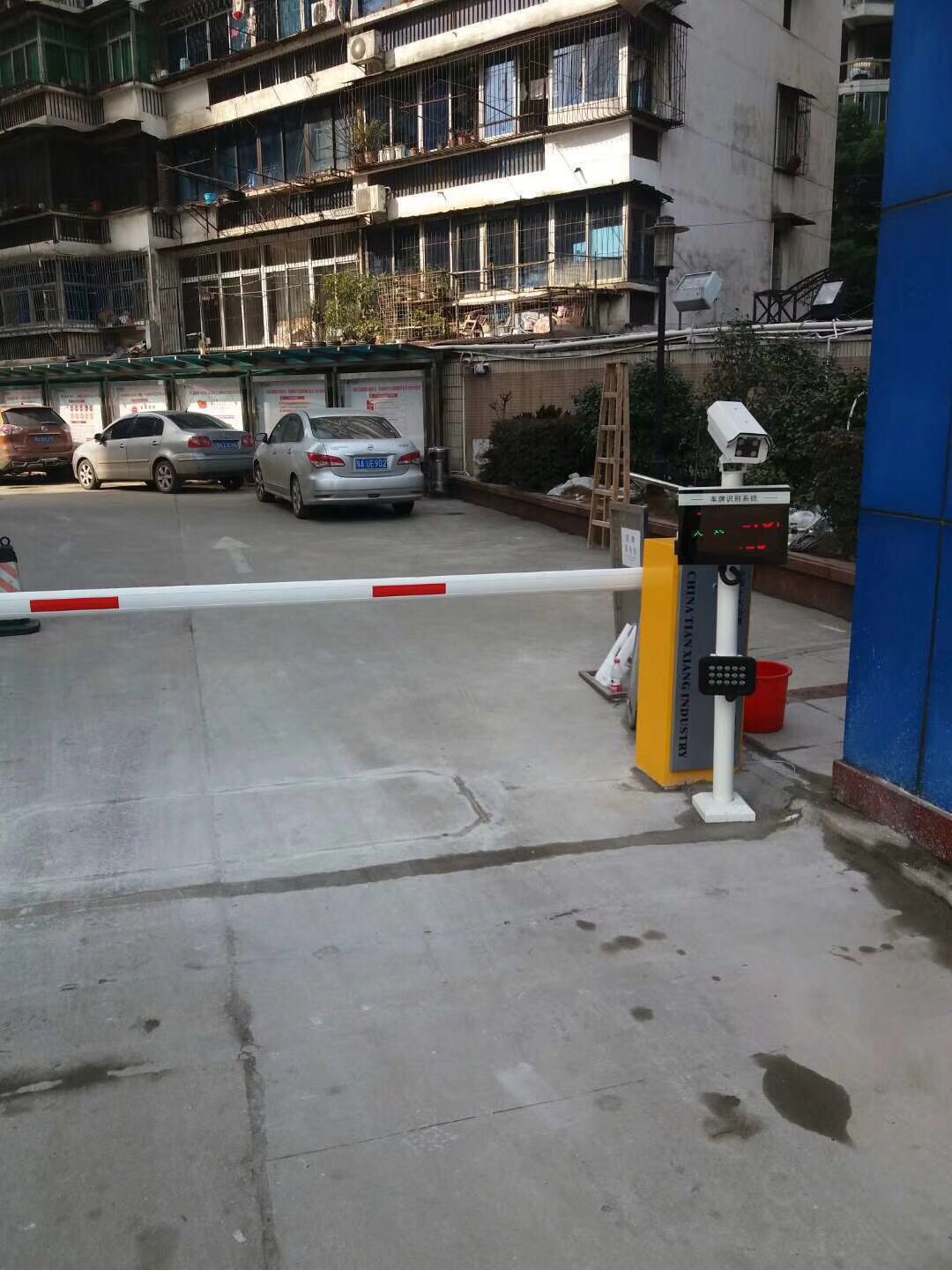 &#80;&#84;&#30495;&#20154;&#65288;&#20013;&#22269;&#65289;&#23448;&#26041;&#32593;&#31449;