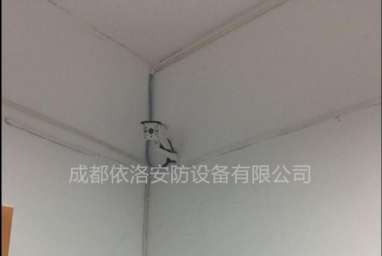 &#80;&#84;&#30495;&#20154;&#65288;&#20013;&#22269;&#65289;&#23448;&#26041;&#32593;&#31449;