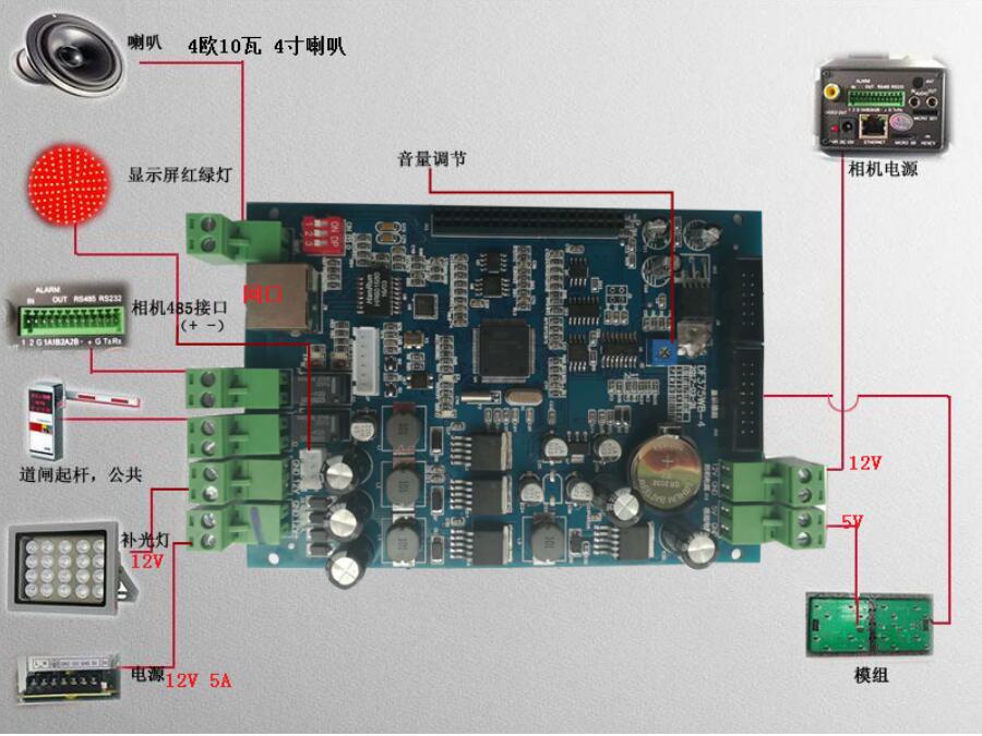 &#80;&#84;&#30495;&#20154;&#65288;&#20013;&#22269;&#65289;&#23448;&#26041;&#32593;&#31449;