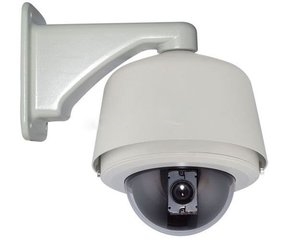 &#80;&#84;&#30495;&#20154;&#65288;&#20013;&#22269;&#65289;&#23448;&#26041;&#32593;&#31449;