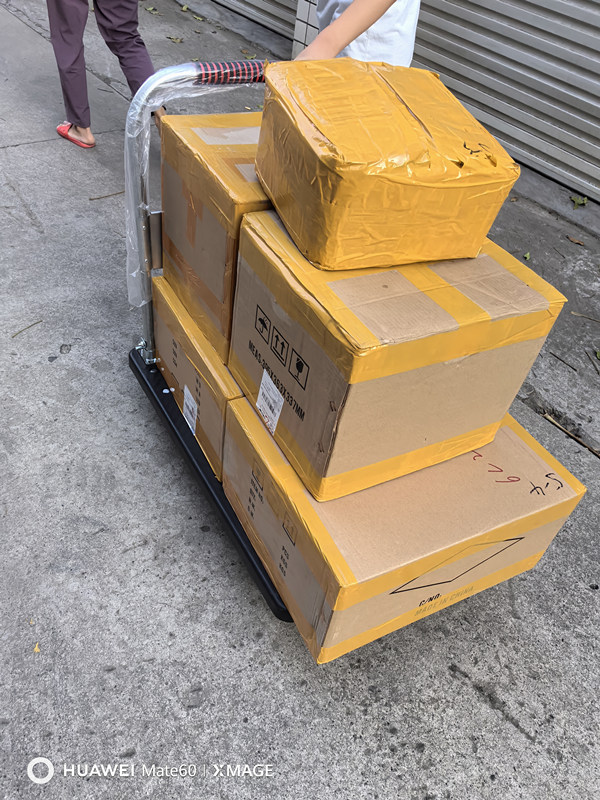 &#80;&#84;&#30495;&#20154;&#65288;&#20013;&#22269;&#65289;&#23448;&#26041;&#32593;&#31449;